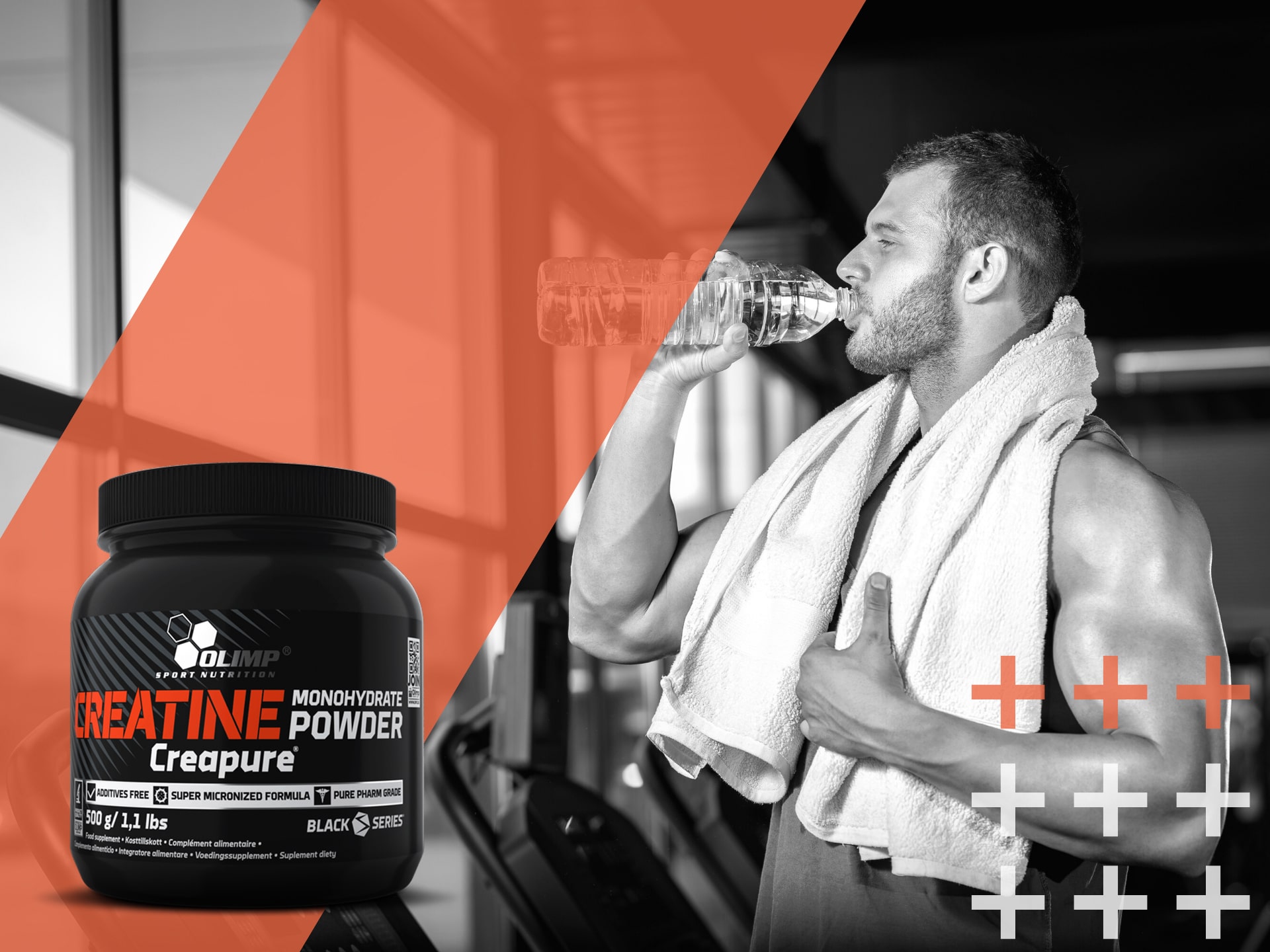 creatine monohydrate strength endurance