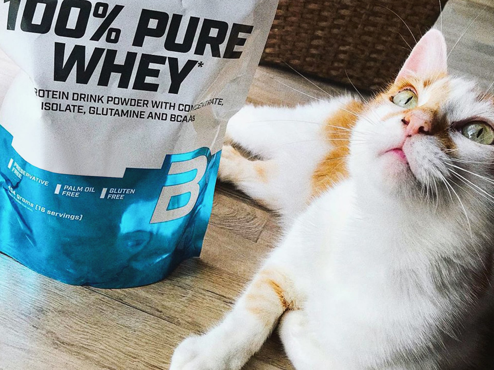 Pure Whey Molkeprotein