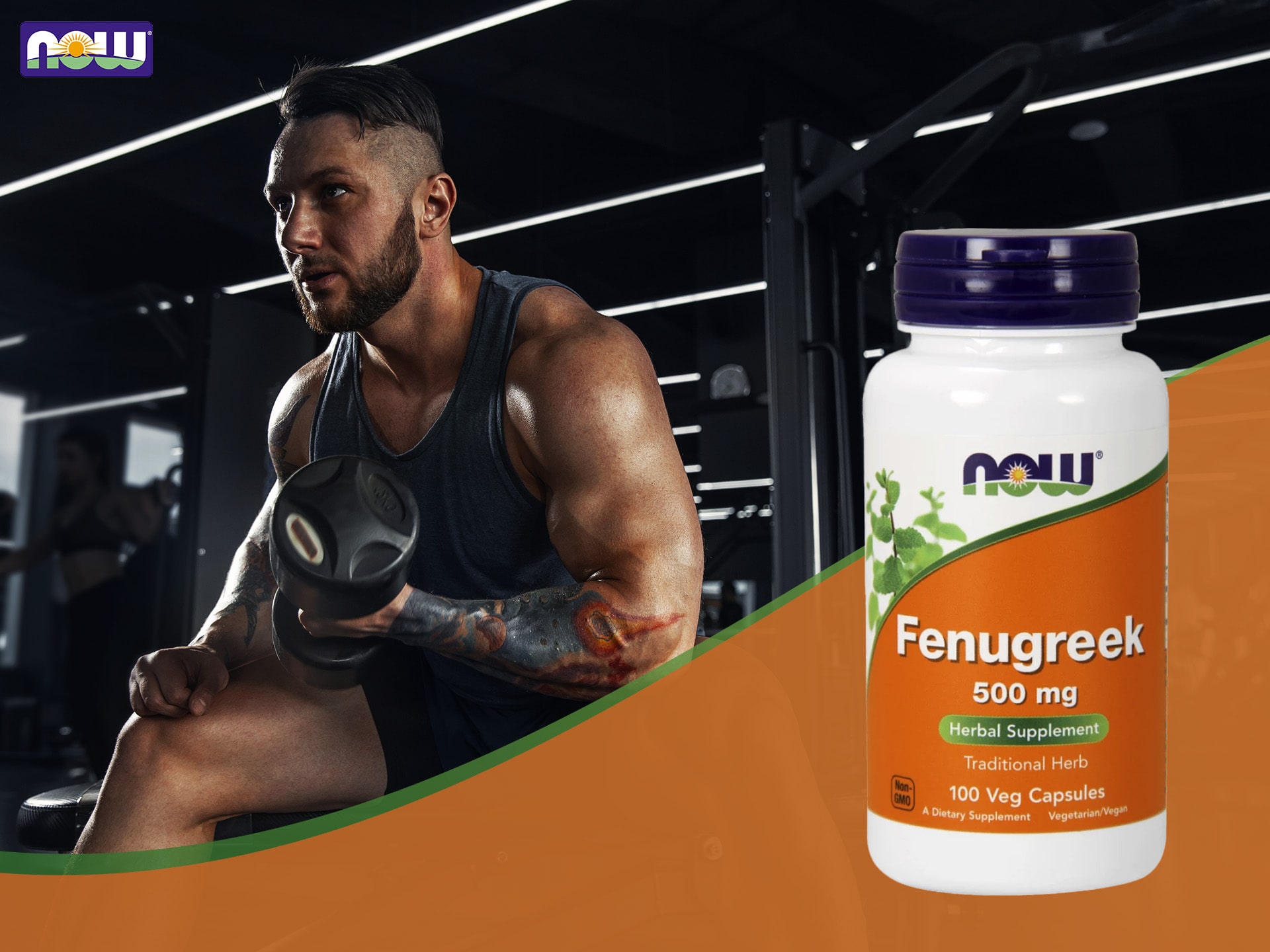 NOW - Fenugreek - Extrakt aus Bockshornklee - Regulierung des Hormonhaushalts, Testosteron-Booster