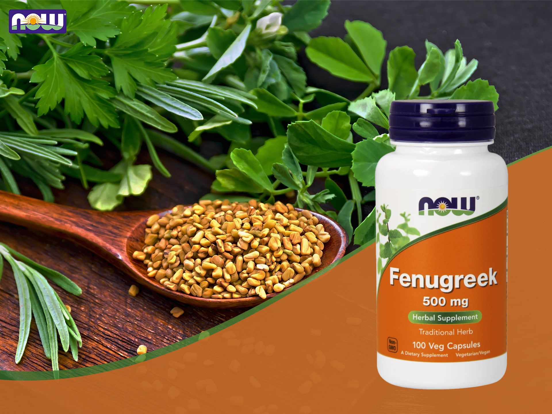 NOW - Fenugreek - Extrakt aus Bockshornklee - Regulierung des Hormonhaushalts, Testosteron-Booster