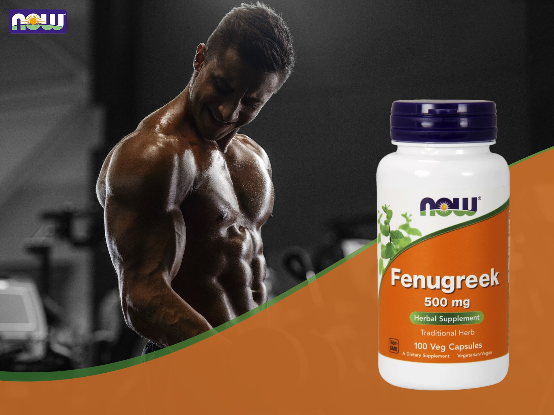 NOW - Fenugreek - Extrakt aus Bockshornklee - Regulierung des Hormonhaushalts, Testosteron-Booster