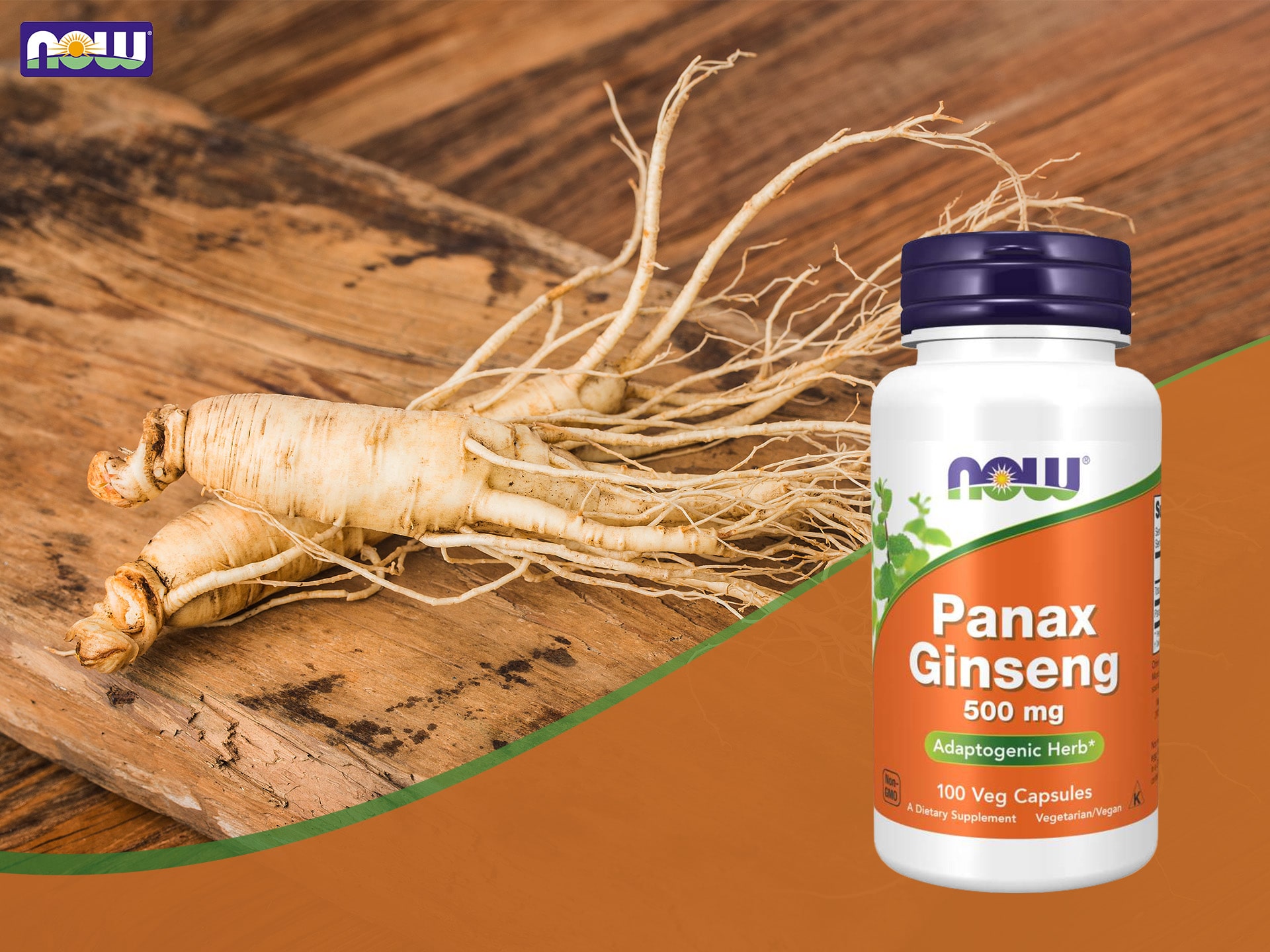 Panax Ginseng - Ginseng - Adaptogen, Unterstützung der Gehirnfunktion, Energie