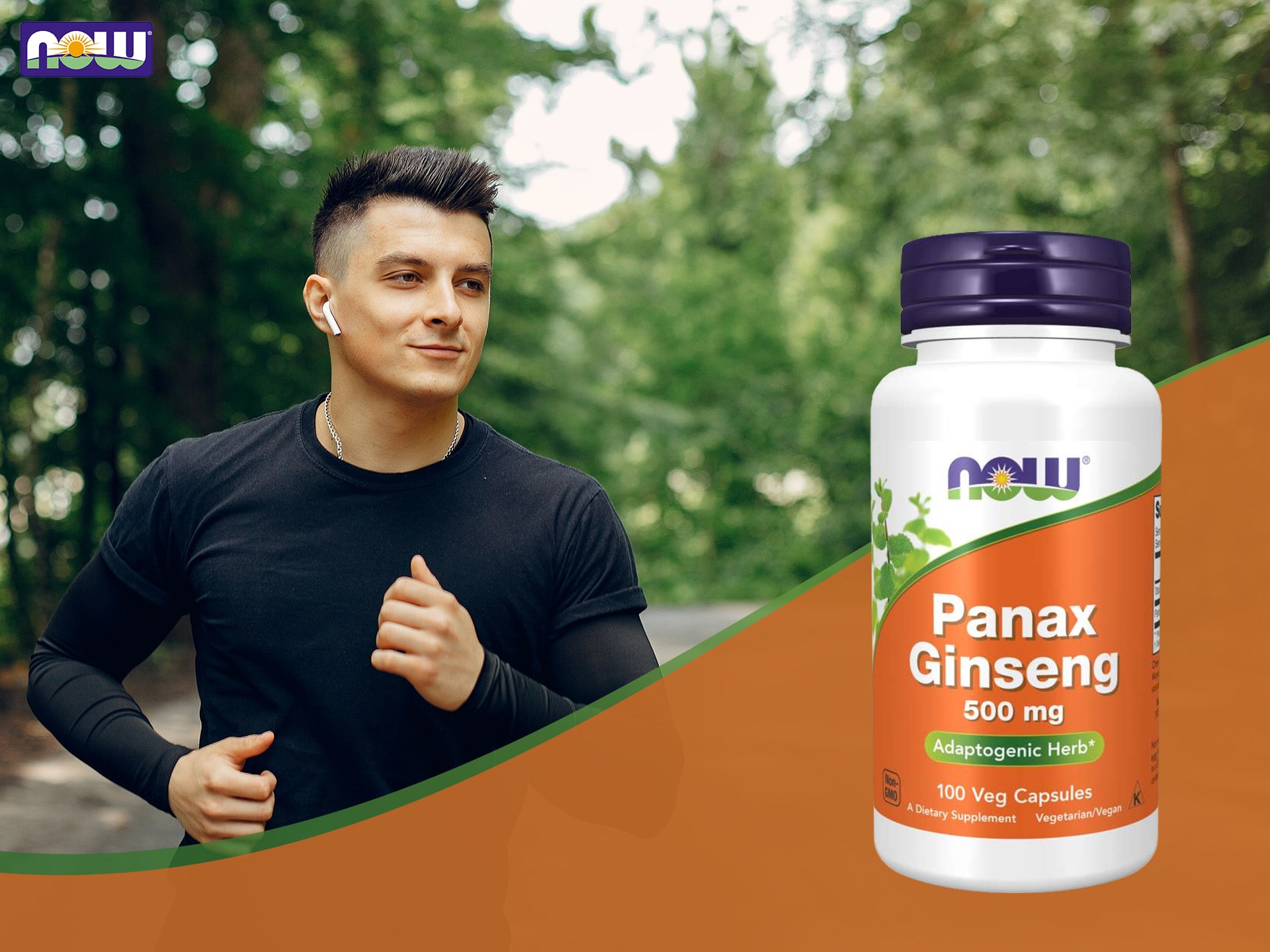 Panax Ginseng - Ginseng - Adaptogen, Unterstützung der Gehirnfunktion, Energie