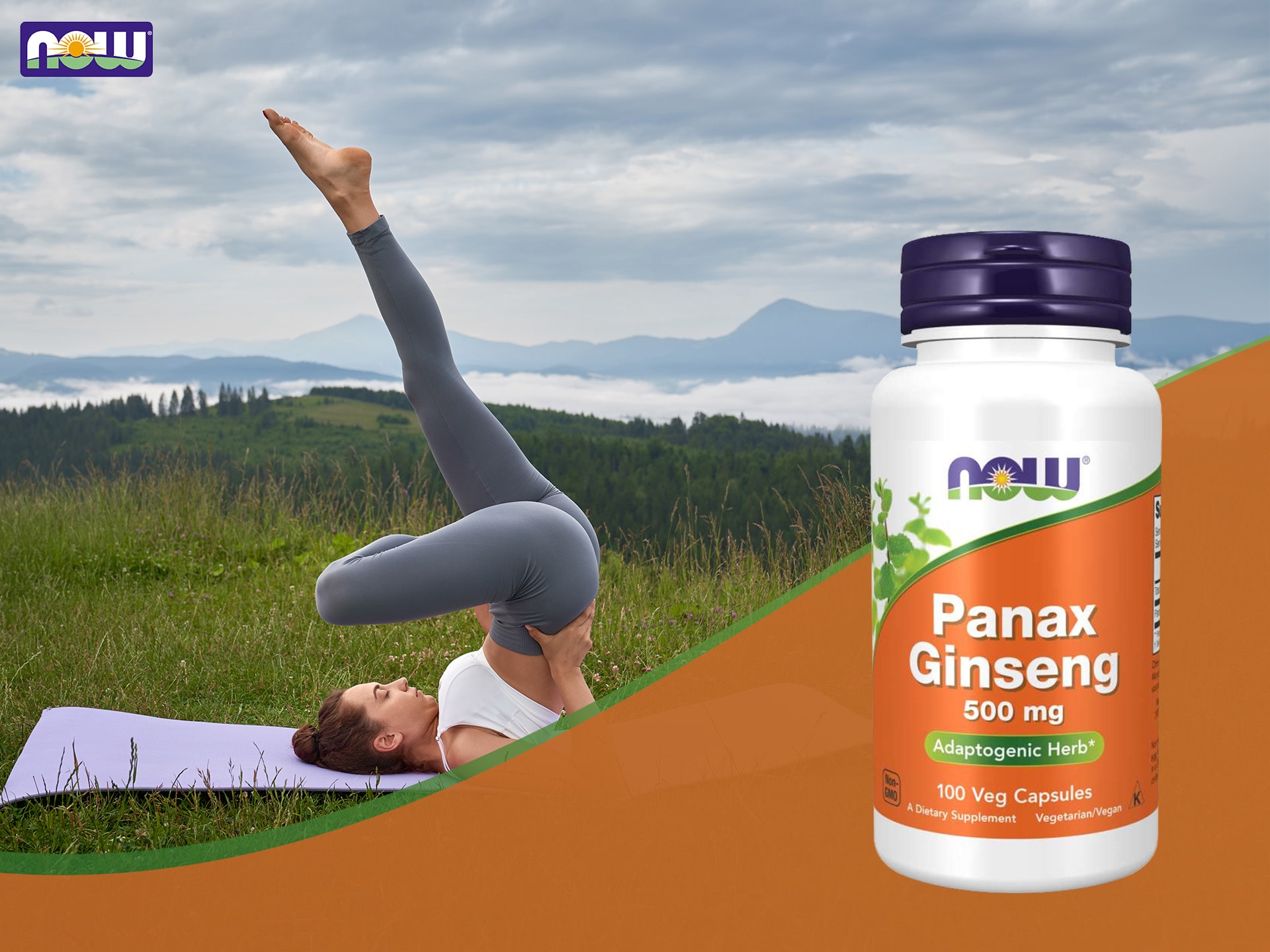 Panax Ginseng - Ginseng - Adaptogen, Unterstützung der Gehirnfunktion, Energie