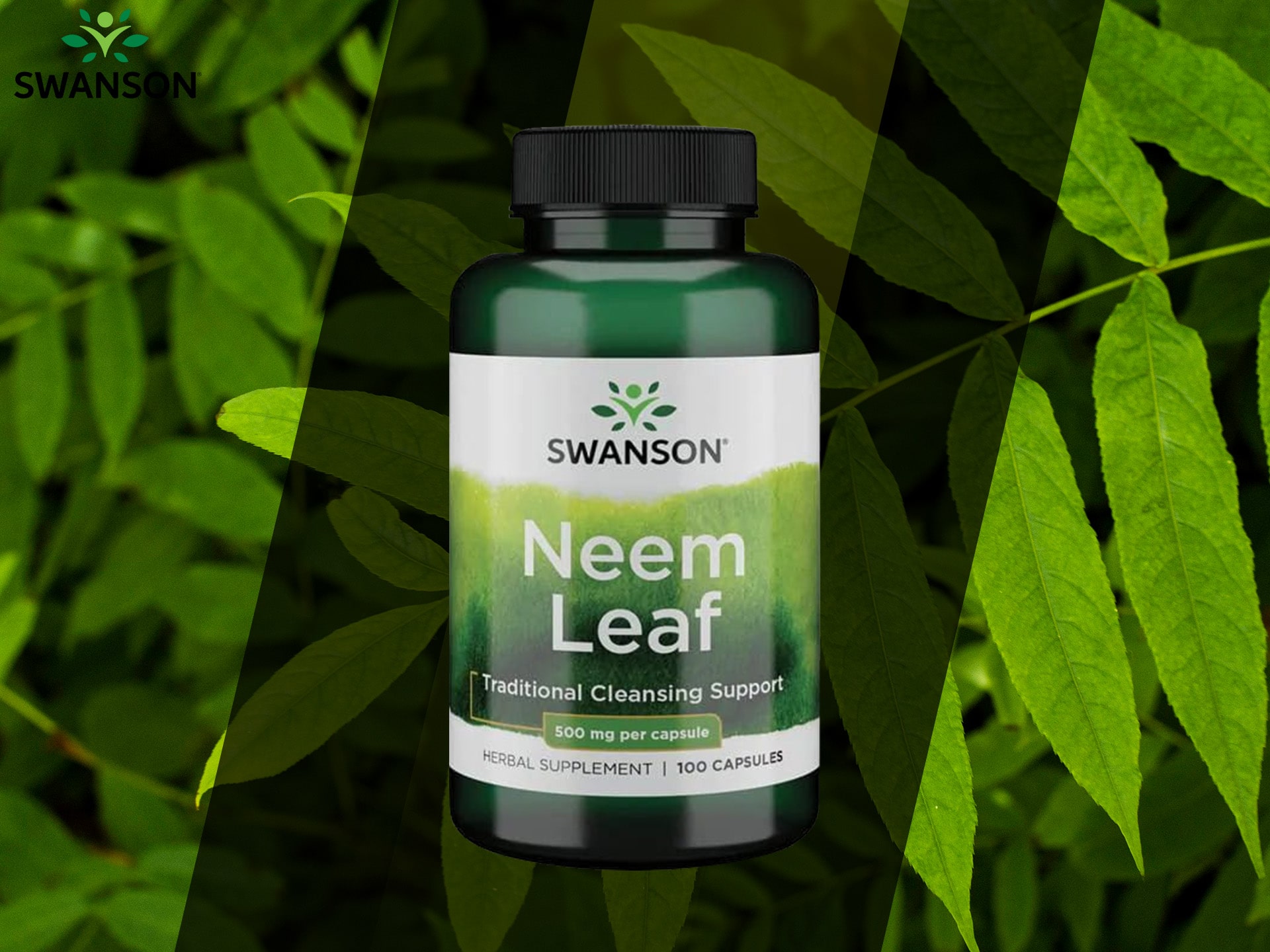 Swanson - Neem Leaf - antioxidans, entzündungshemmend und antibakteriell