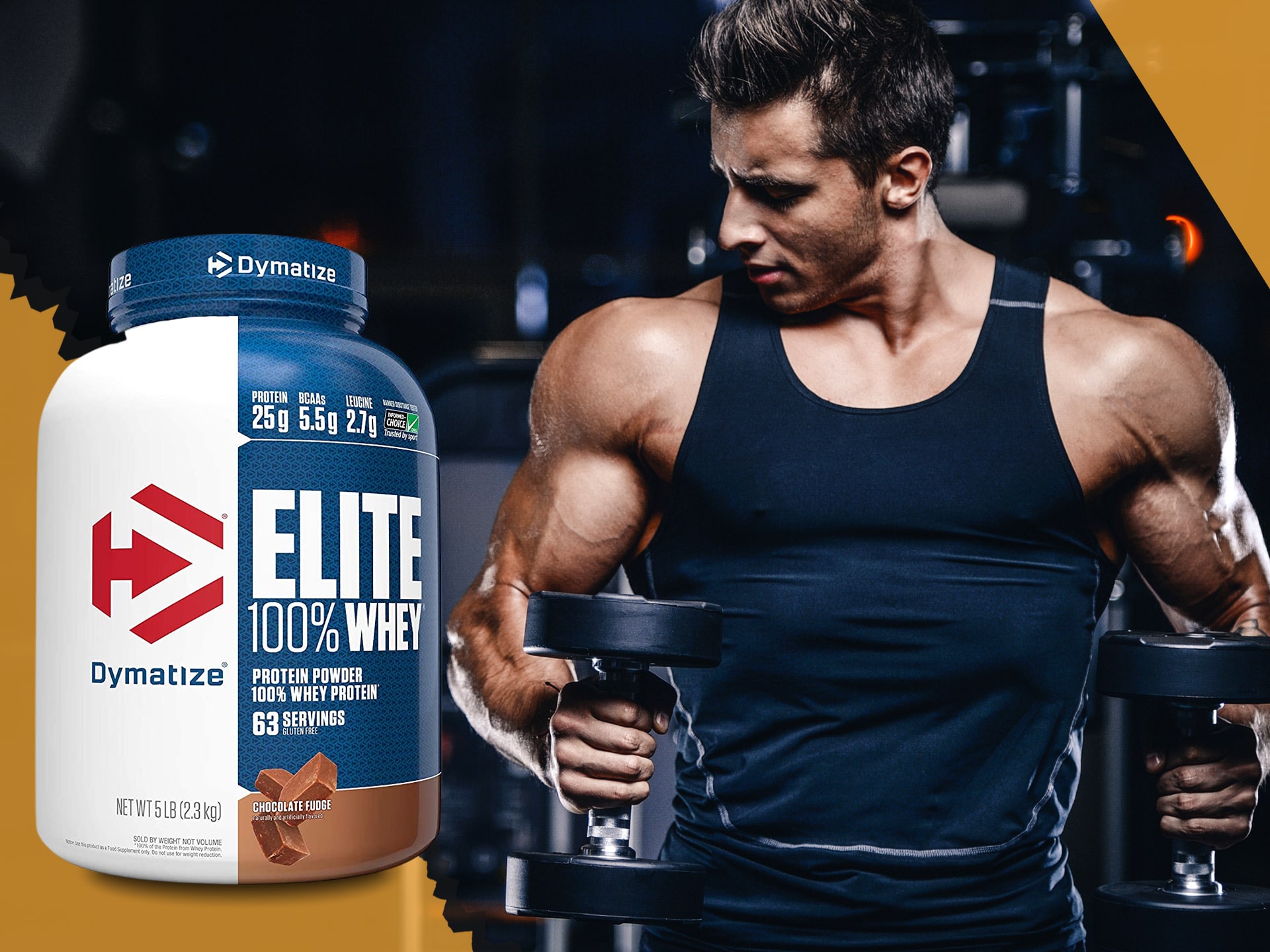 Dymatize - Elite 100% Whey Protein-Matrix