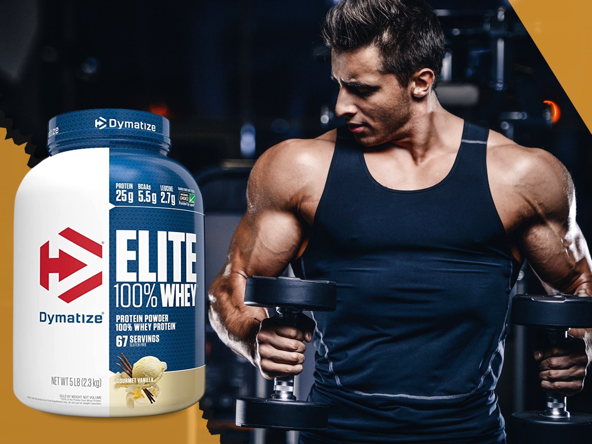Dymatize - Elite Whey Protein matrix