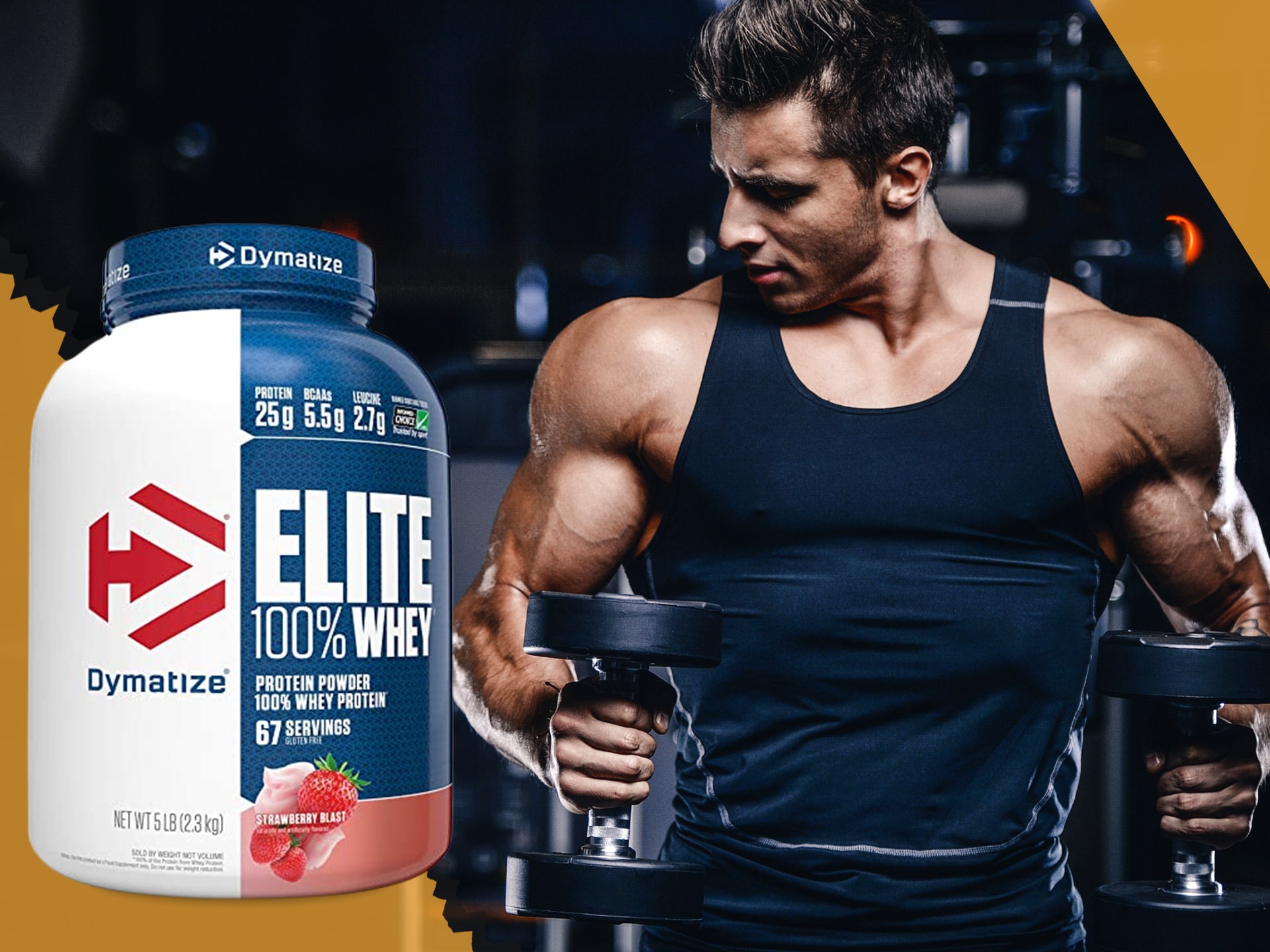 Dymatize Elite Whey Protein matrix białkowy