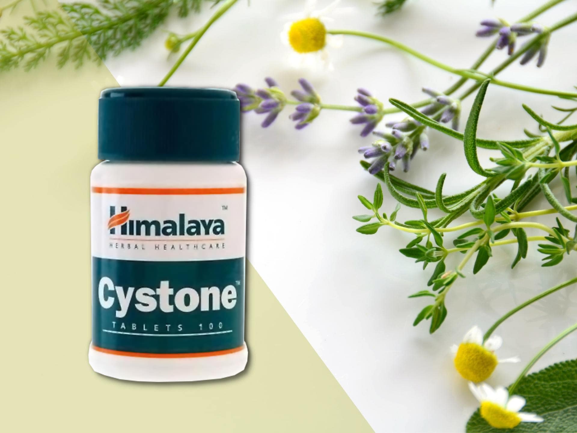 Himalaya - Cystone - Unterstützung der Nierenarbeit
