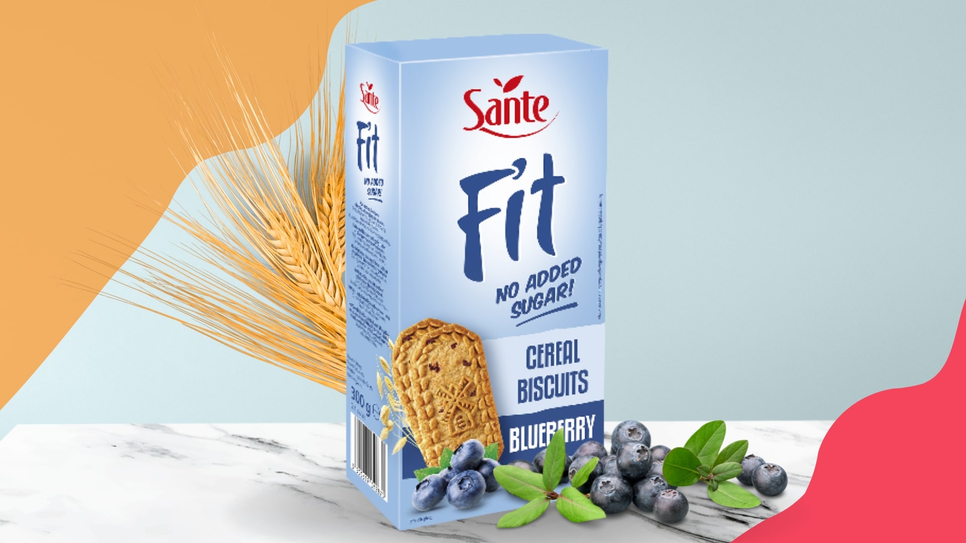 Sante - Fit Cereal Biscuits - Fit Getreidekekse mit Heidelbeeren - ohne Zucker, reich an Ballaststoffen