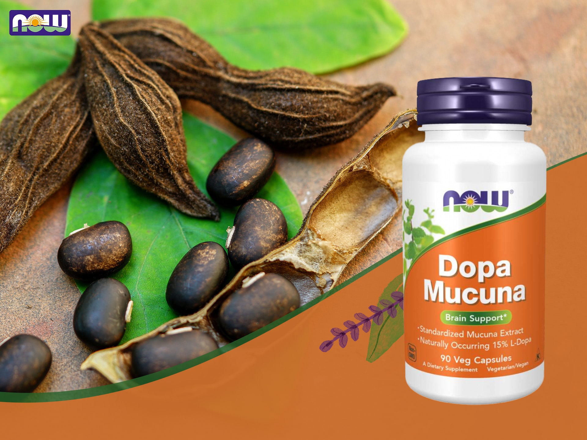 dopa mucuna