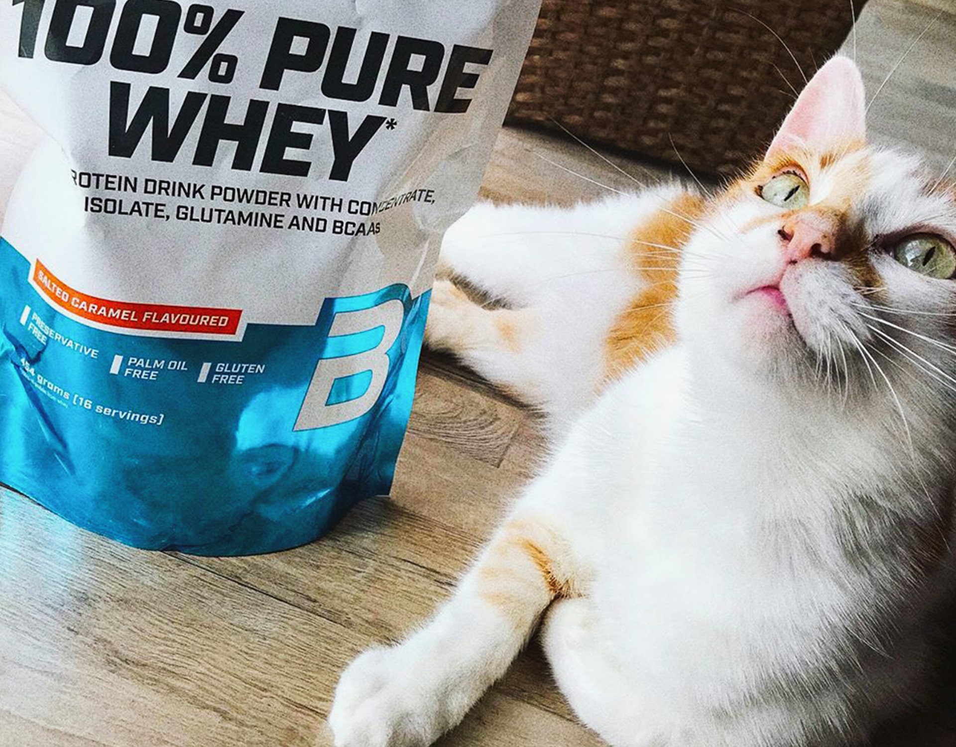 Pure Whey Molkenprotein 