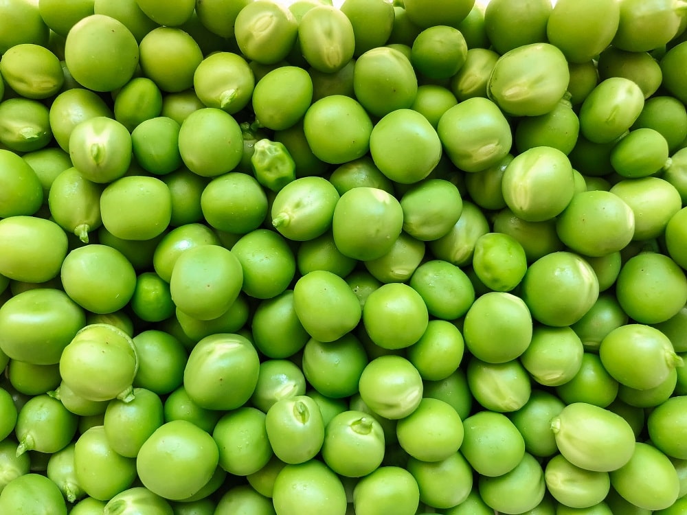 Veganes Protein