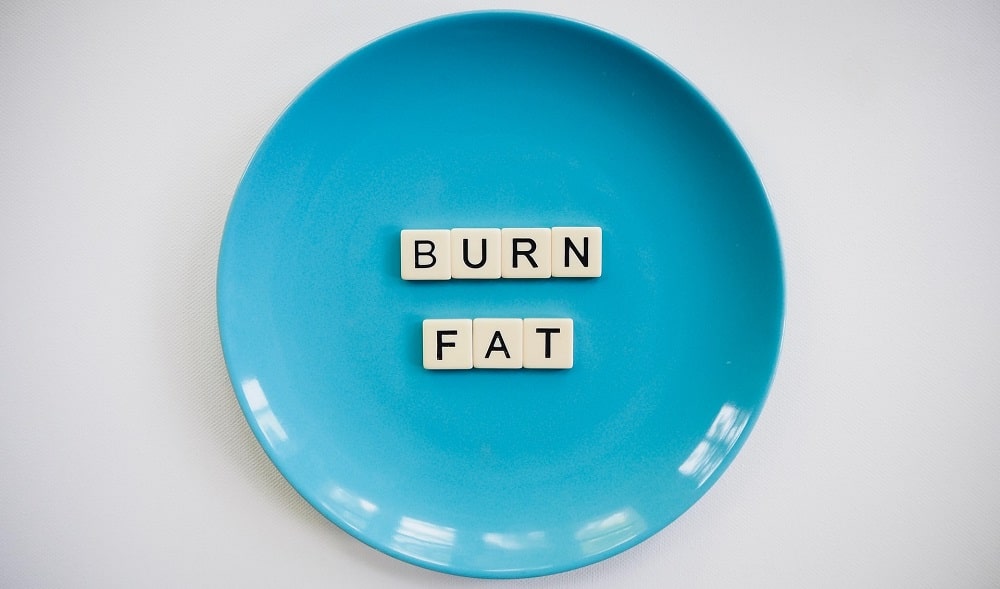 Fat Burner Abnehmen Grüner Tee 