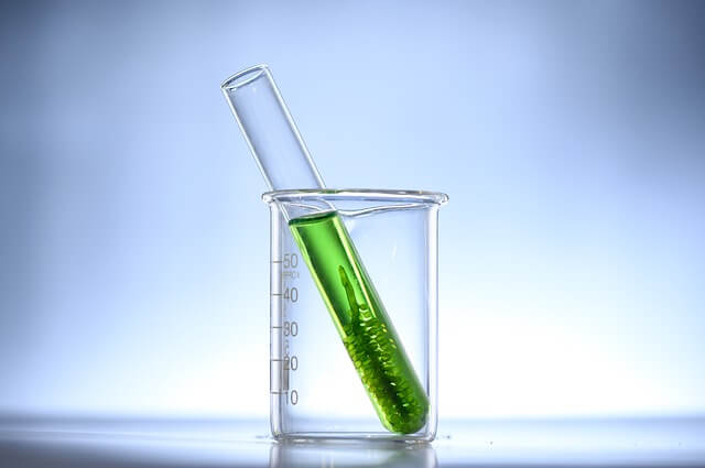 Now Chlorophyll in Flüssigkeit zur Unterstützung des Immunsystems