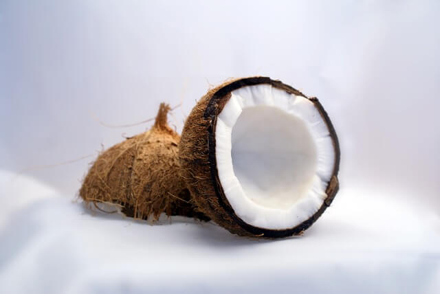 Gesunde Ernährung Fit Kokosnuss Snack