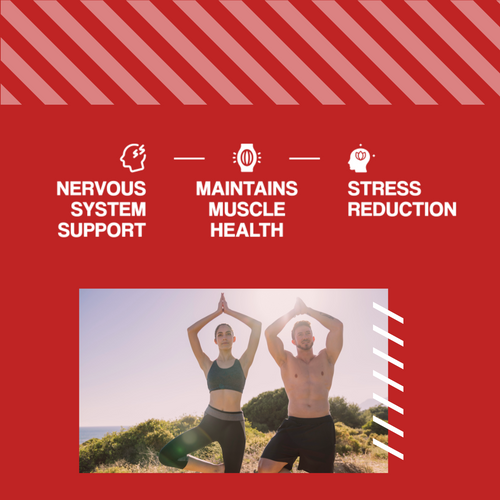 MP NUTRITION Mg + B6 - 90 Tabletten - Magnesium + Vitamin B6