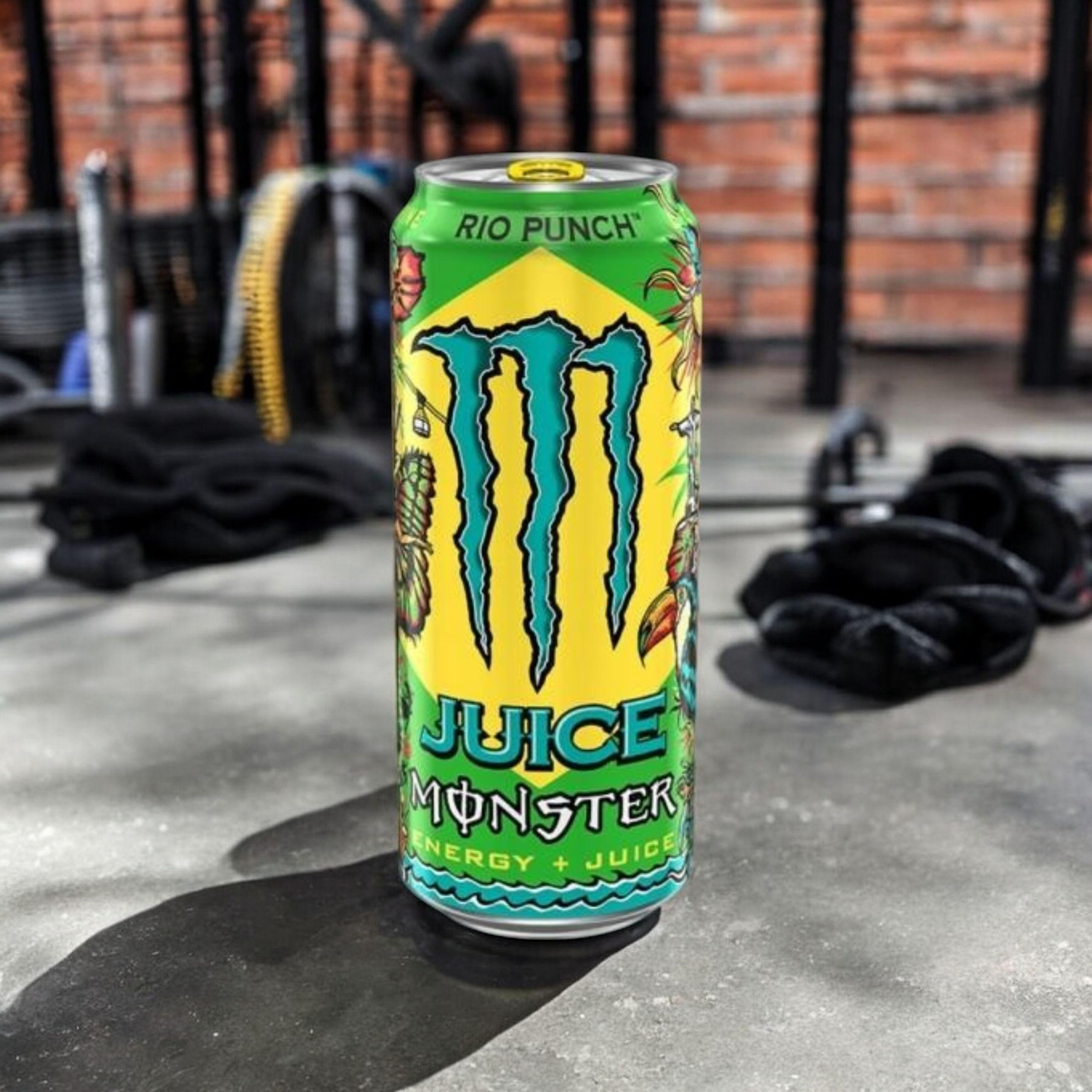 GETRÄNKE - Rio Punch - 500ml