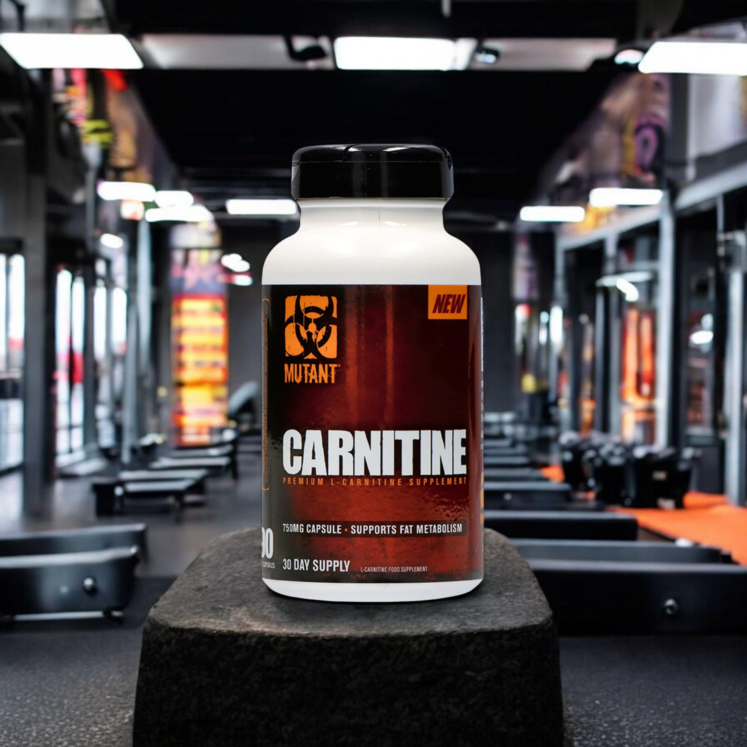 PVL L-Carnitine - 90vcaps
