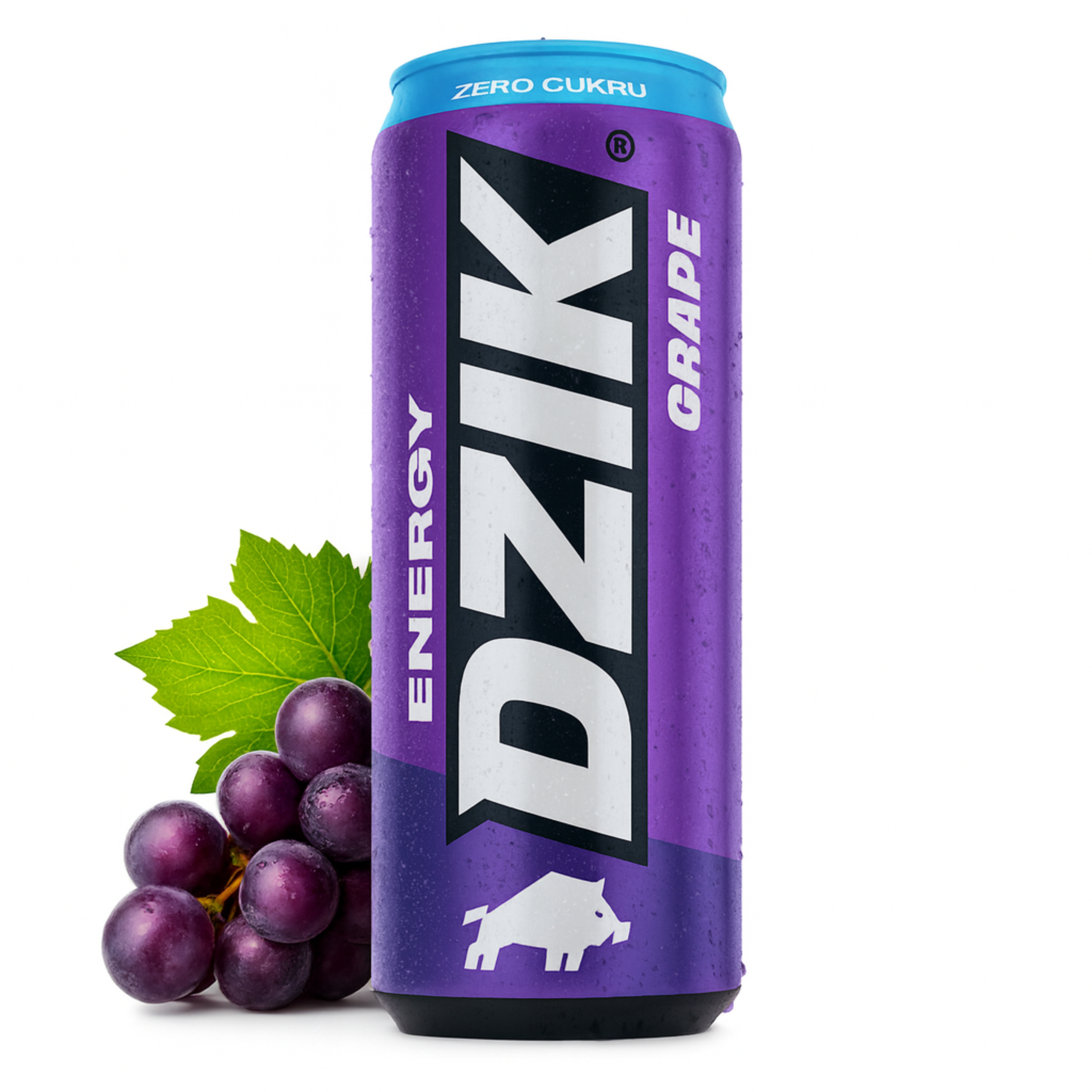 DZIK Energie 24x 500ml