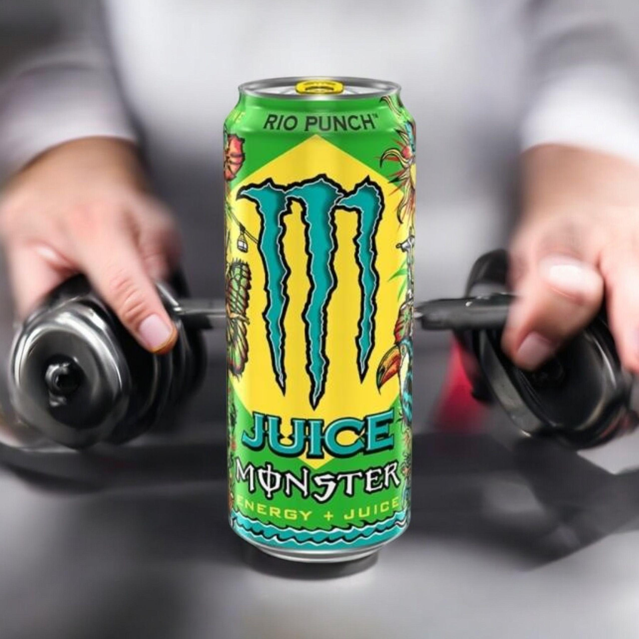 GETRÄNKE - Rio Punch - 500ml