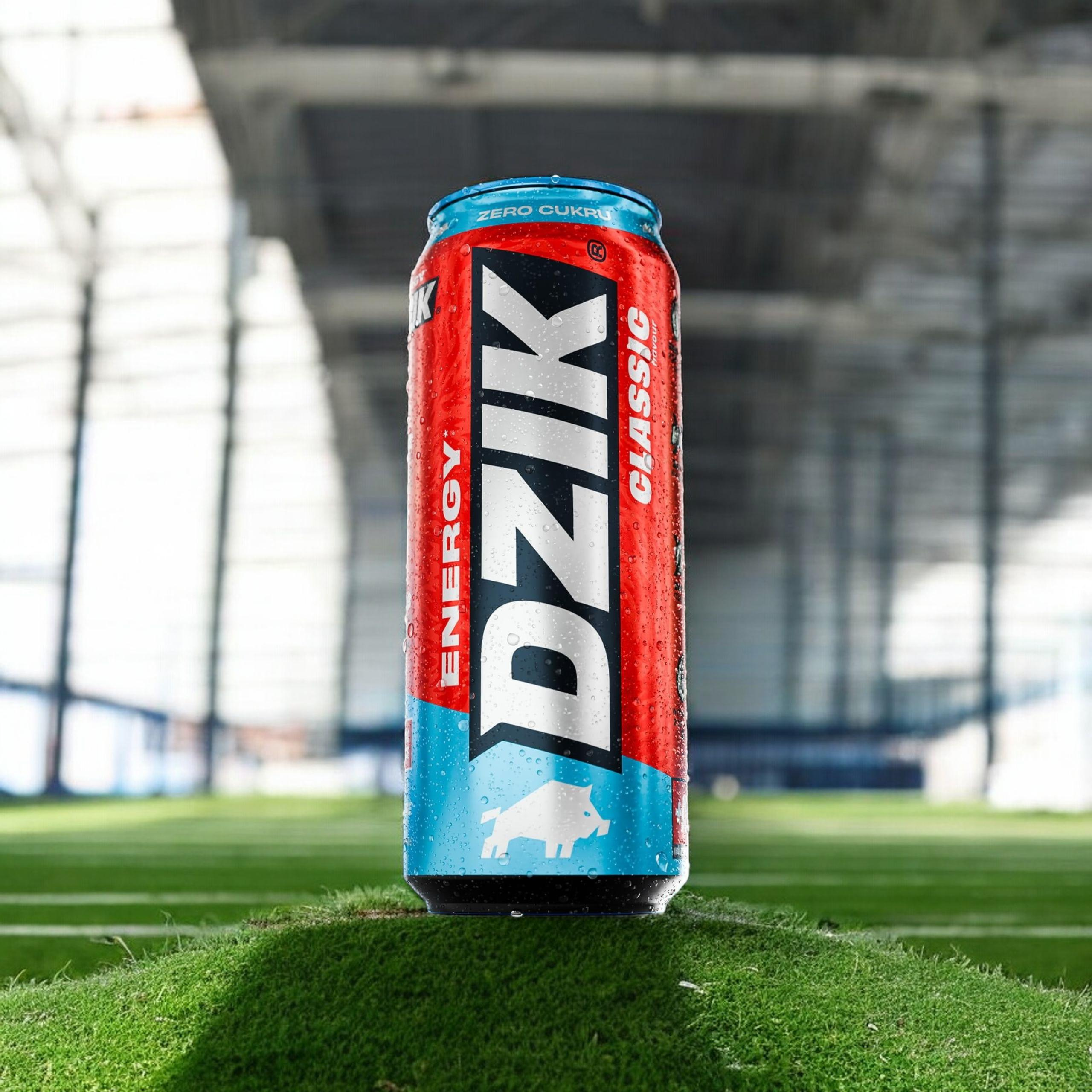 DZIK Energie 24x 500ml