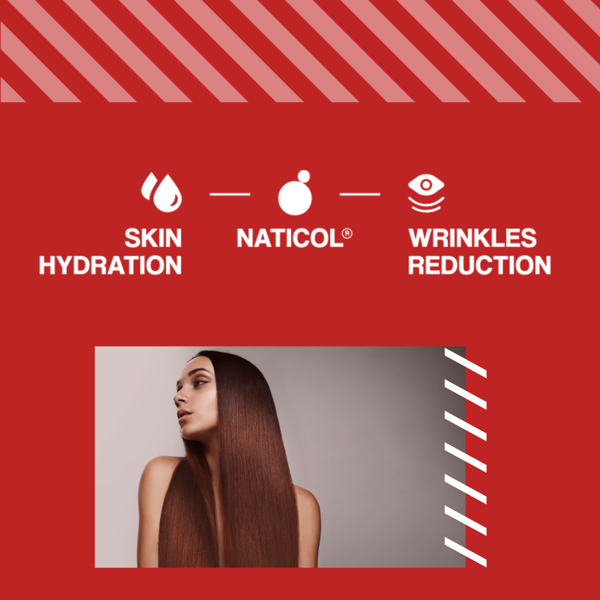 MP NUTRITION Marine Collagen 550mg - 120caps - Fisch Kollagen Naticol