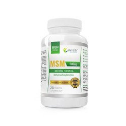WISH Pharmaceutical MSM 500mg - 250 Tabletten