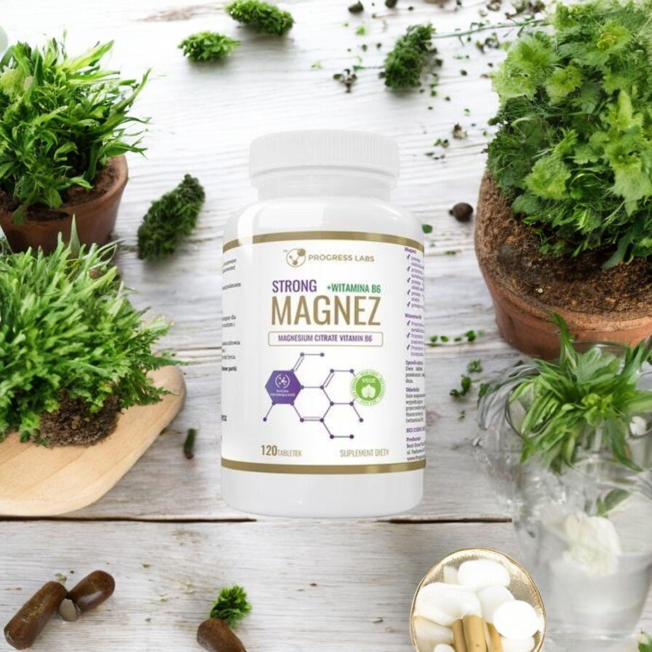 PROGRESS LABS - Magnesium Strong + Vitamin B6 350mg - 120 Tabletten.