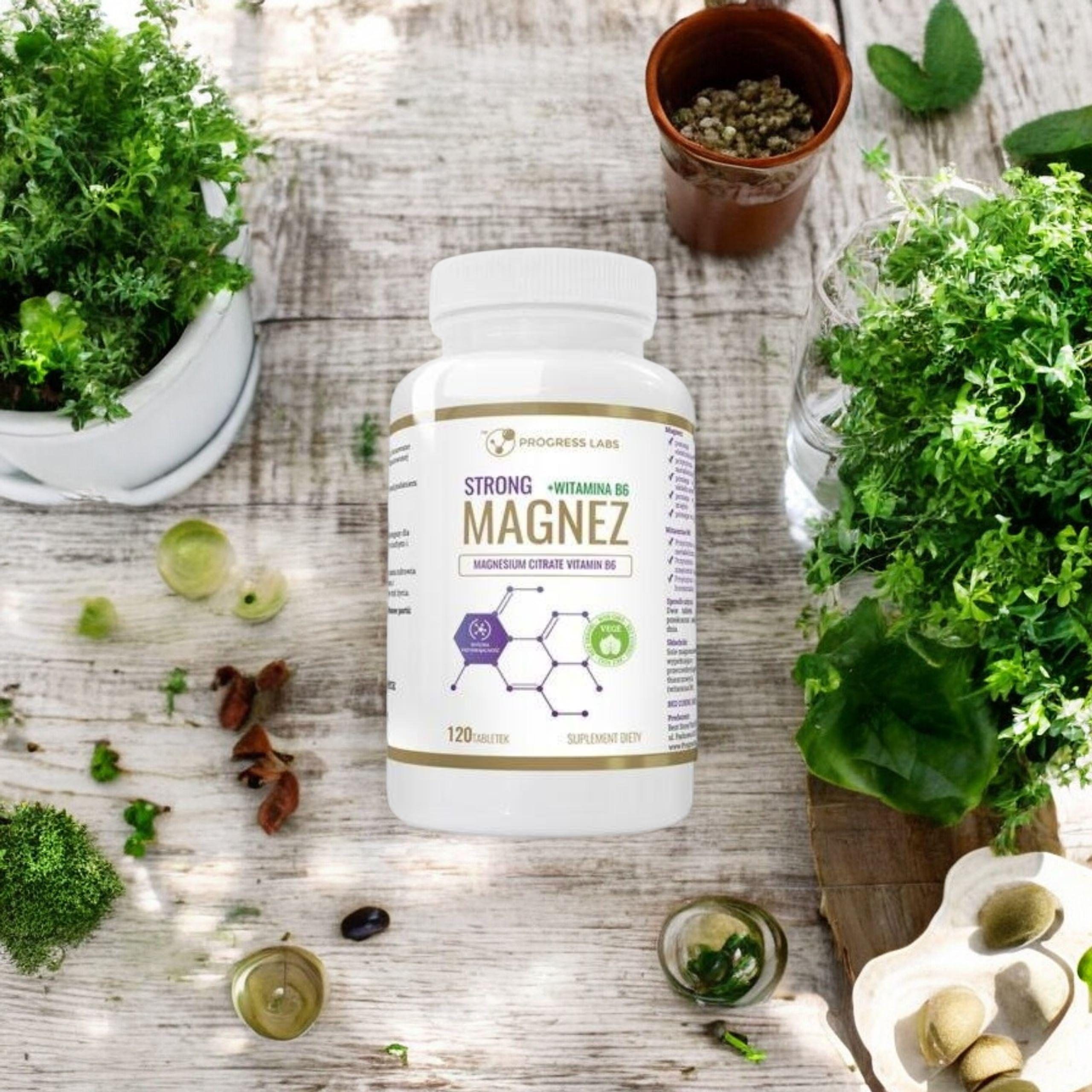 PROGRESS LABS - Magnesium Strong + Vitamin B6 350mg - 120 Tabletten.