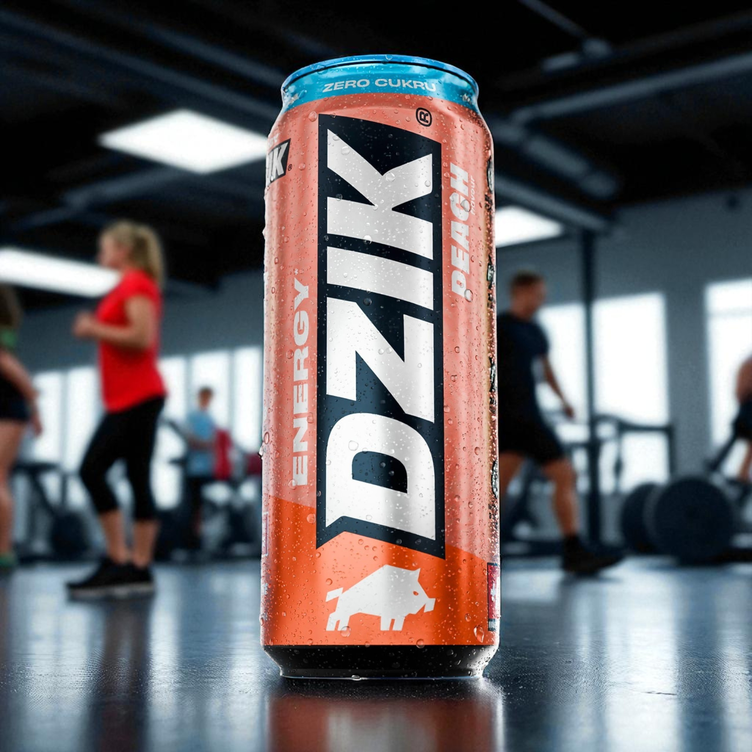 DZIK Energy 24x 500ml 