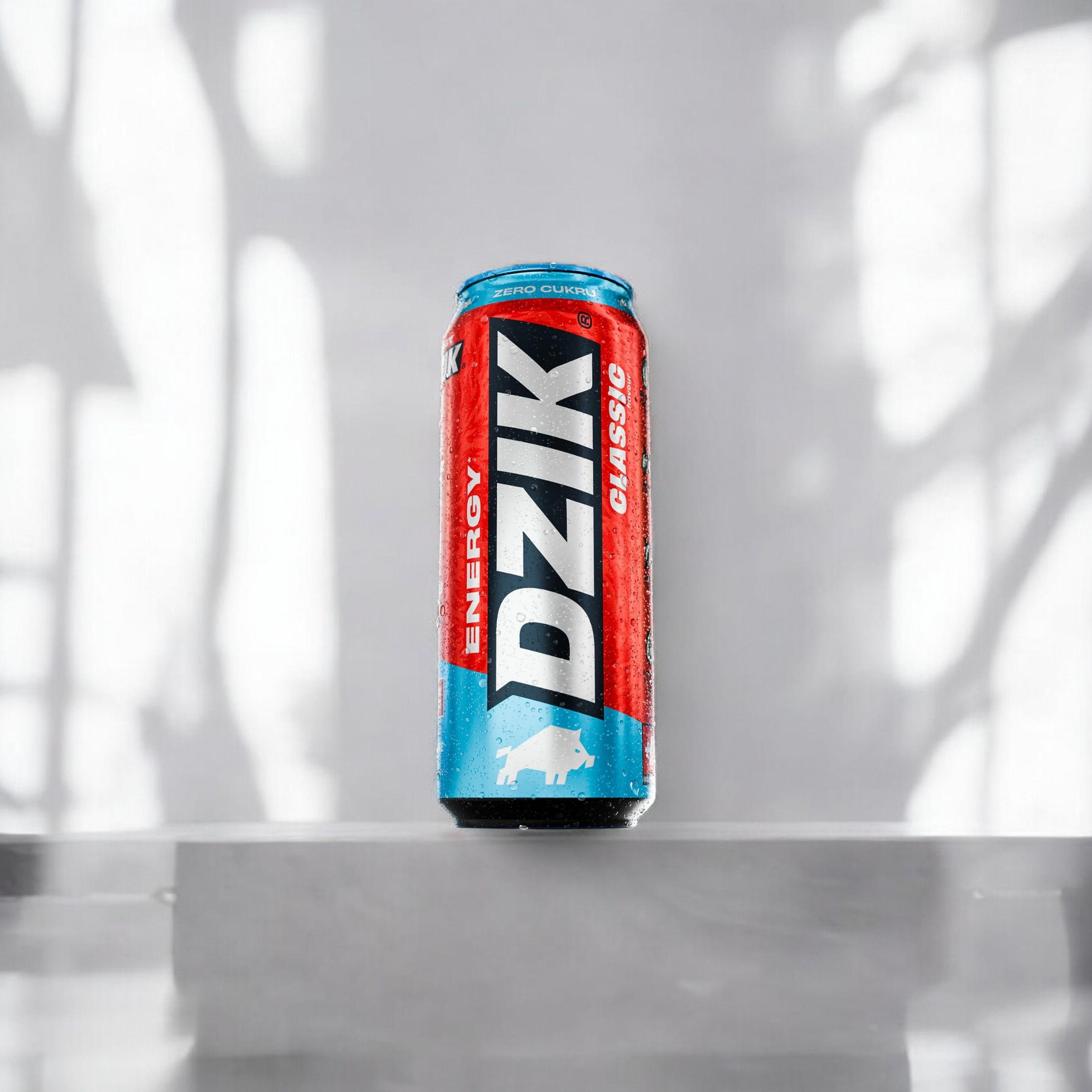 DZIK Energie 24x 500ml