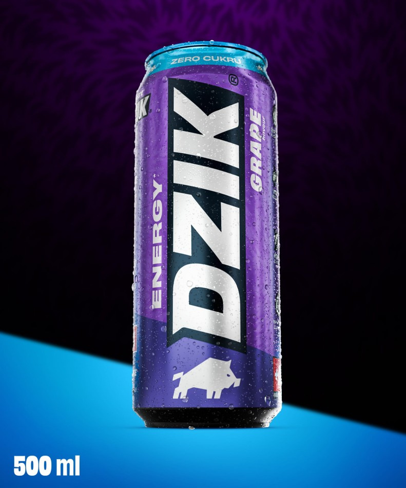 DZIK Energie 24x 500ml