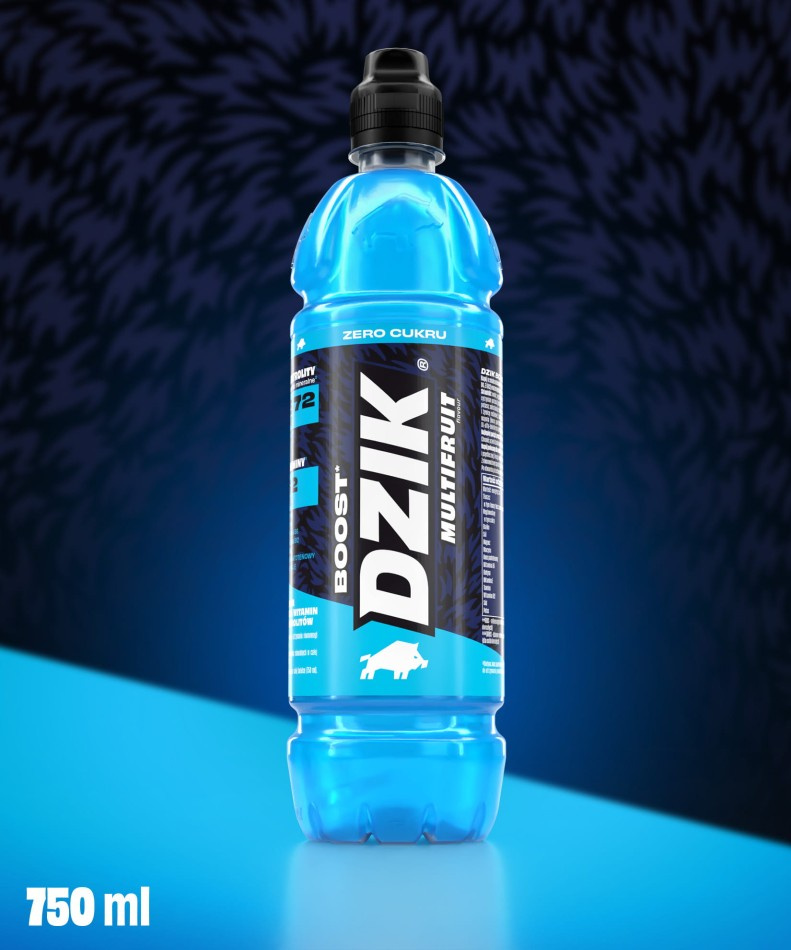 DZIK Vitamin-Boost 12x 750ml