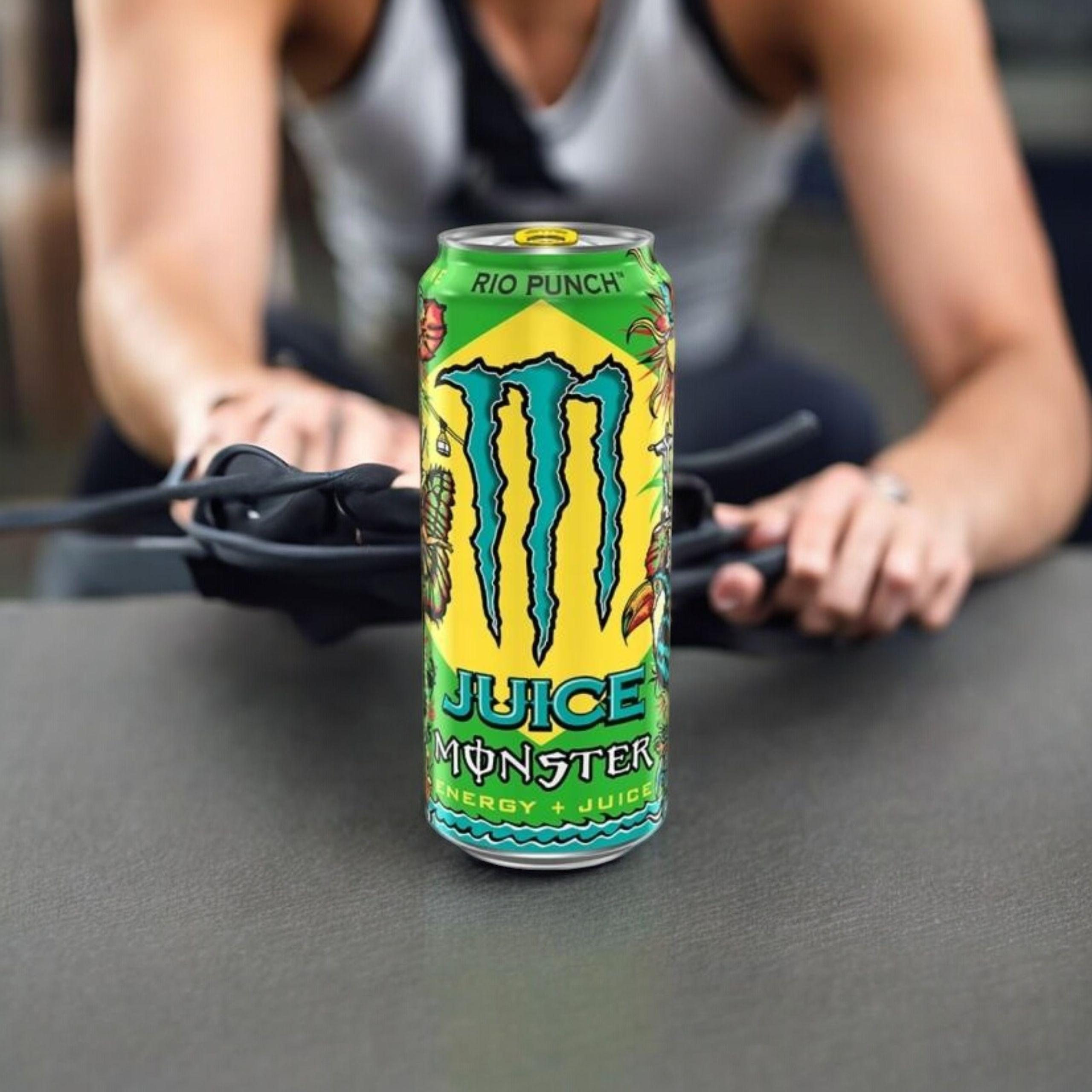 GETRÄNKE - Rio Punch - 500ml