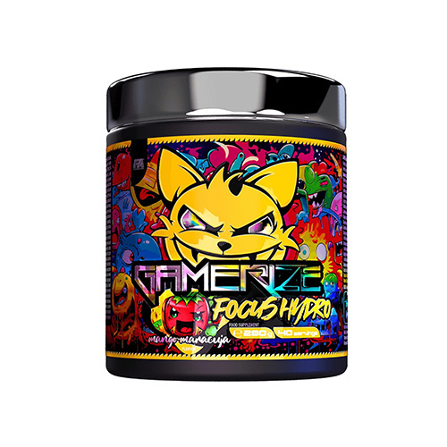 FITNESS AUTHORITY - Gamerize Focus Hydro - 280g - AUSVERKAUF - 28-02