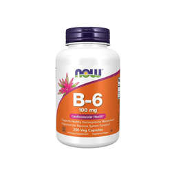 NOW Vitamin B-6 100mg - 250vcaps - Vitamin B6