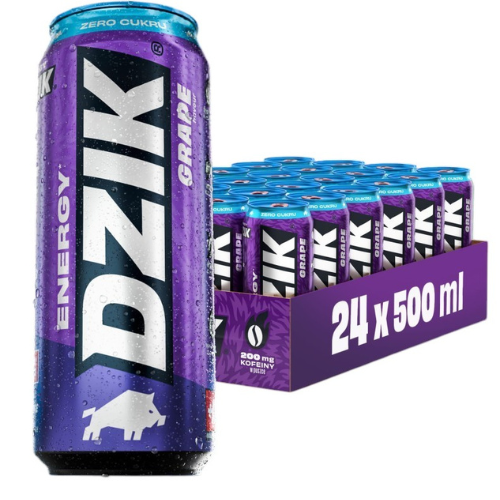 DZIK Energie 24x 500ml