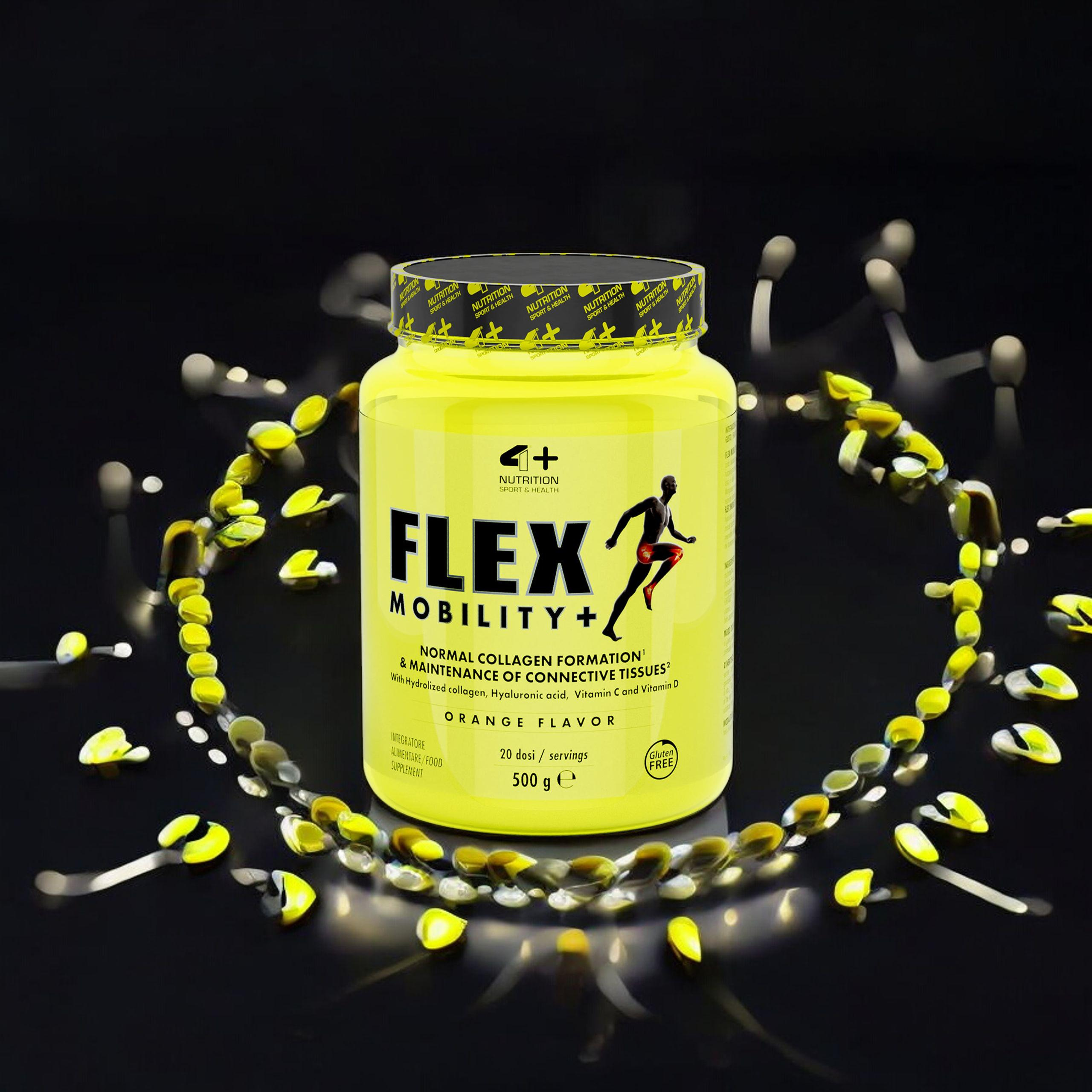 4+ NUTRITION FLEX Mobility+ - 500g