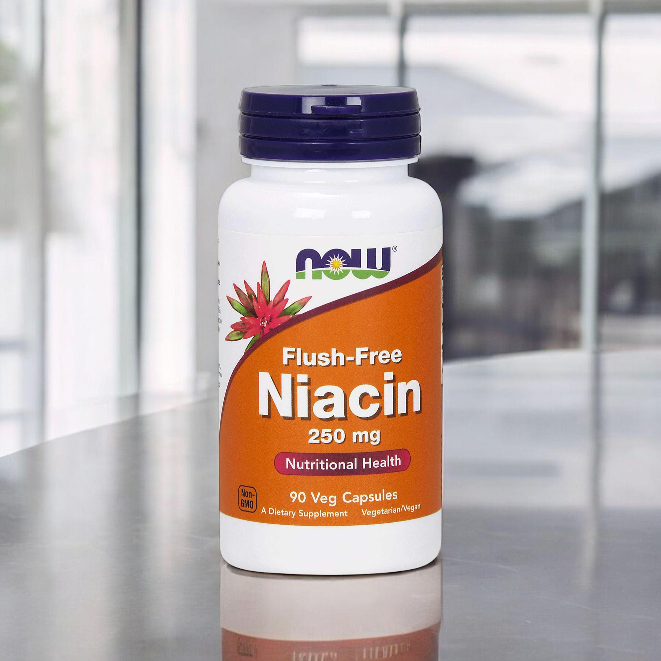 NOW Niacin Flush Free 250mg - 90vcaps