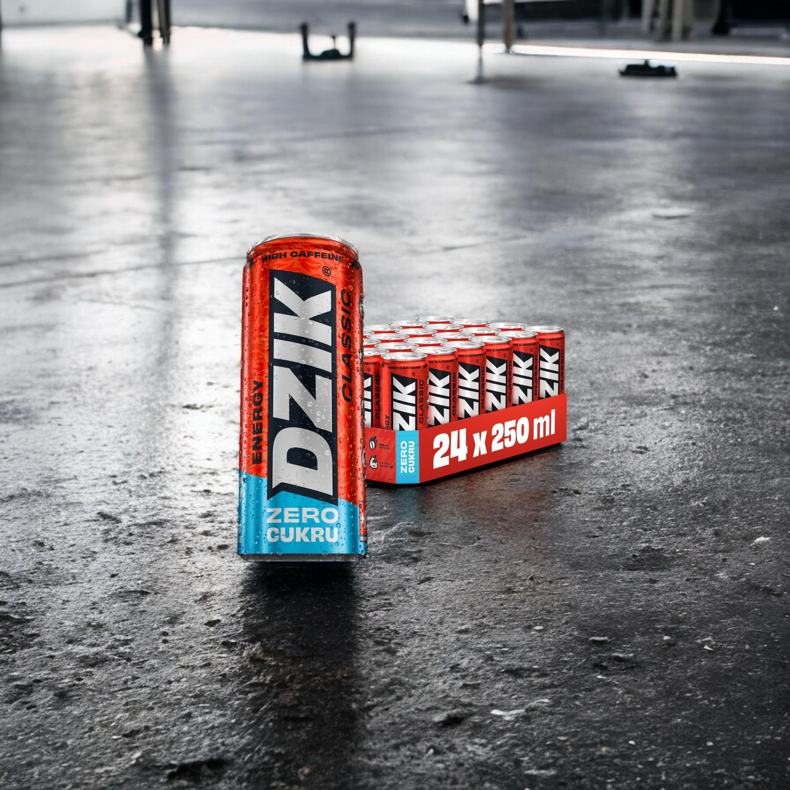 DZIK Energy 24x 250ml